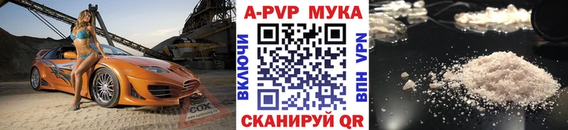 A PVP СК Шагонар