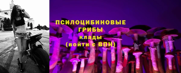 гашик Балахна