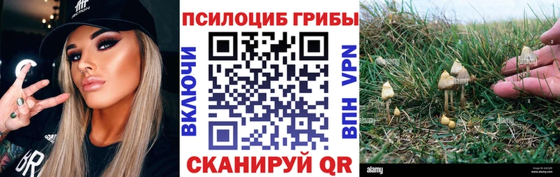 Галлюциногенные грибы Magic Shrooms  МЕГА ССЫЛКА  Шагонар 